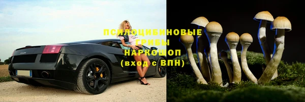 спайс Сафоново